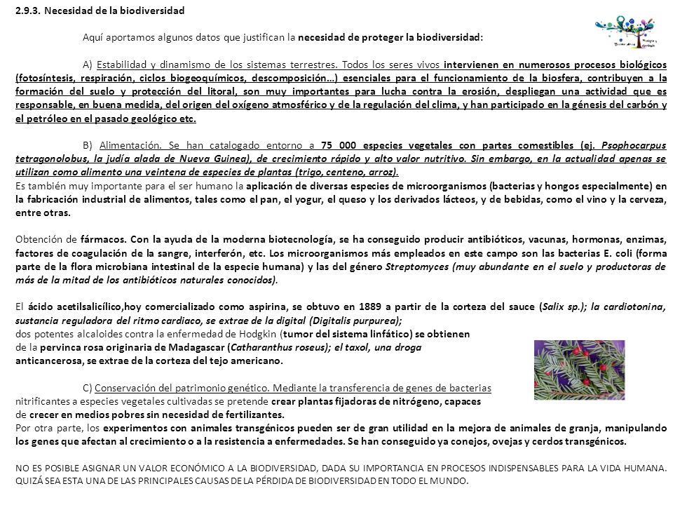 Si se puede sanar la caída de los cabello hereditario